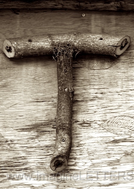 Wall_Art_Alphabet_Photography_Art_ 2173.jpg